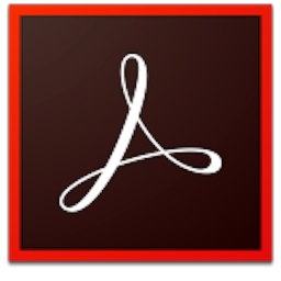 Adobe Acrobat Pro DC 2019.012.20048 Mac