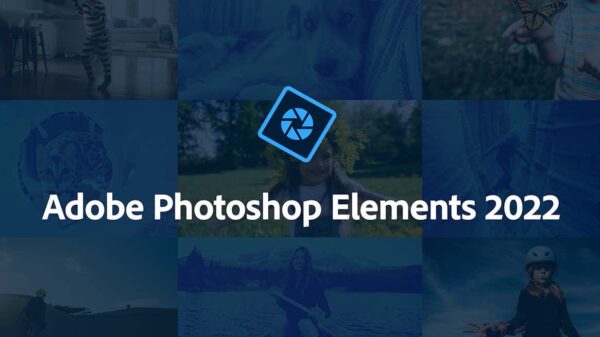 让您成为Photoshop Elements专家的10个技巧